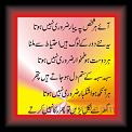 hur baat pay inkar 01b * 20.03.2012 * 315 x 653 * (49KB)
